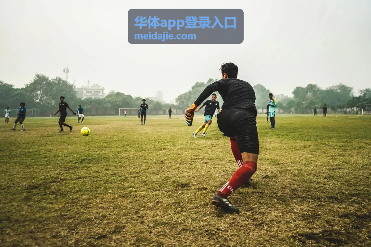 华体app登录入口安全验证指南封面